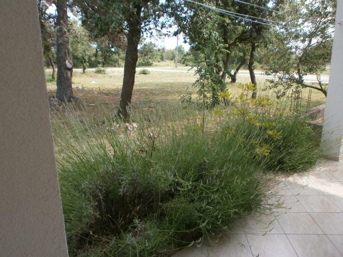 Apartment M&A Biograd Na Moru Exterior photo